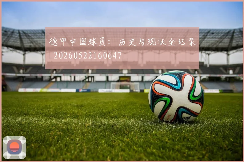 德甲中国球员:历史与现状全记录_20260522160647
