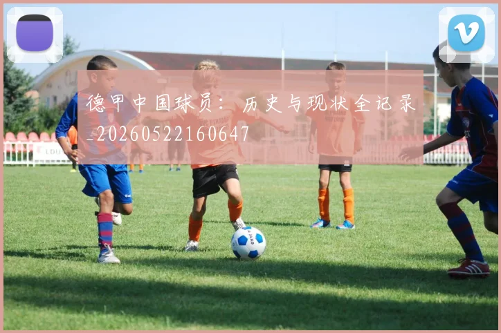 德甲中国球员：历史与现状全记录_20260522160647